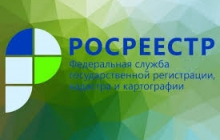 Средний срок кадастрового учета в 2019 году